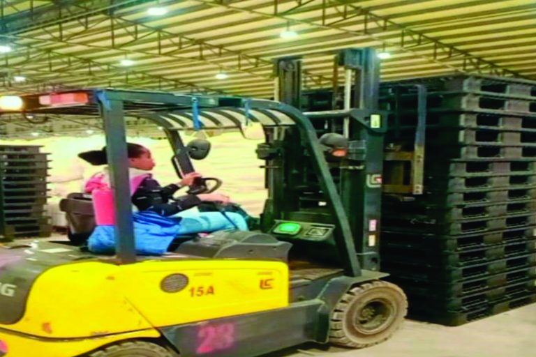 Naija Skilled Certified™ Success Stories